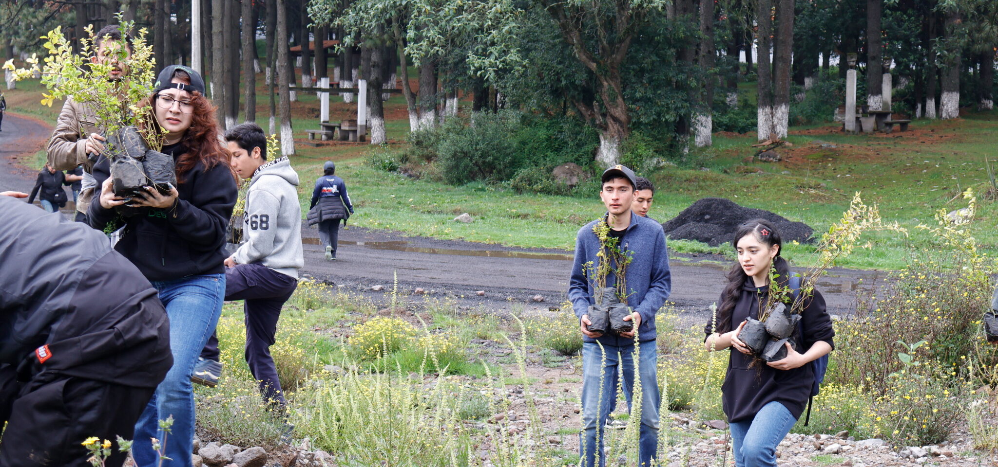 2026_06_06 Alumnos Reforestando en Electratón